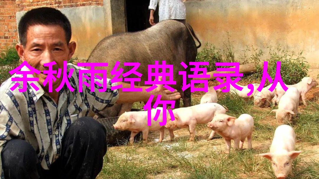 婆媳的战国时代赵子玉在自然中的四大策略轻松赢得富豪婆婆的心