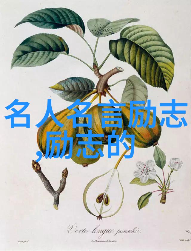 徐志摩飞鸟集中的诗意生活