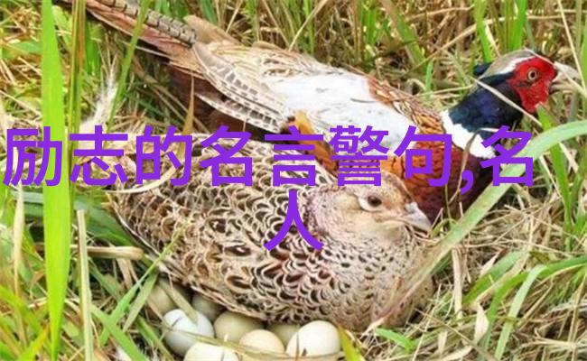 人生励志短视频逆袭之星闪耀人生的舞台