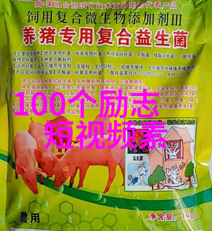 勤学励志的名言警句我是怎样通过这些经典话语改变自己的人生轨迹