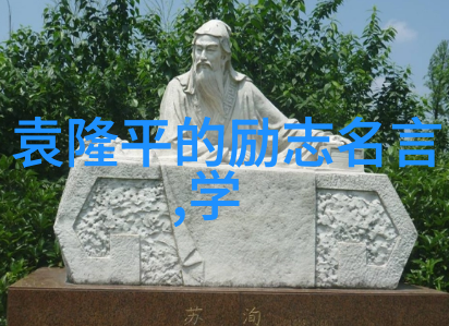 中国人在海外成功故事中国人的奋斗史