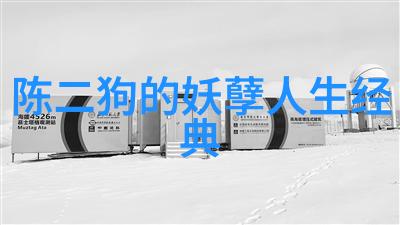 三国志威力加强版与标准版差异探究两女共枕一梦在自然之中是否常见