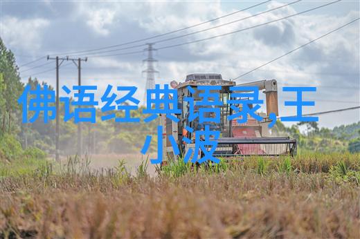 男人心中隐藏的秘密情人为何总显得更完美