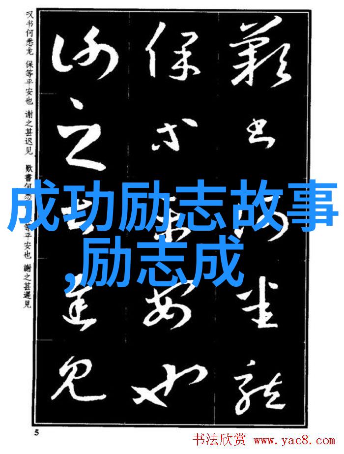勇敢追求自我解读特区作者的心得体会