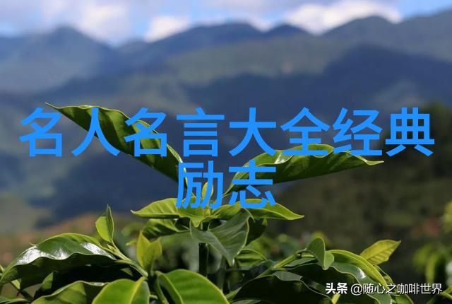 镜中回响抬头看望继续前行