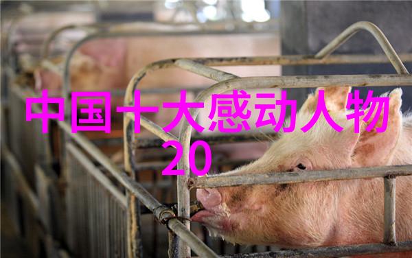 婆媳的战国时代48集揭秘和谐家园的奥秘