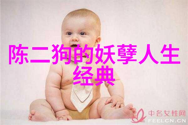 袁隆平智慧播种致敬农业科学家的经典语录与生活哲学