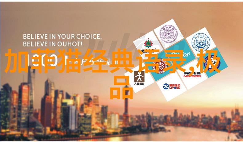 大叔的智慧之光