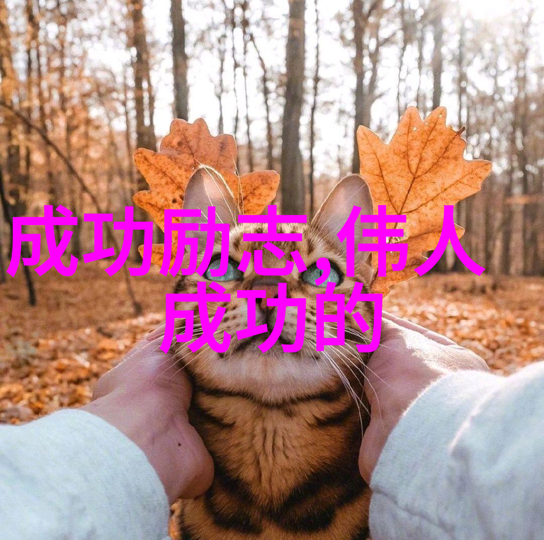 马云经典语录-激励与成功的智慧马云创业启示录