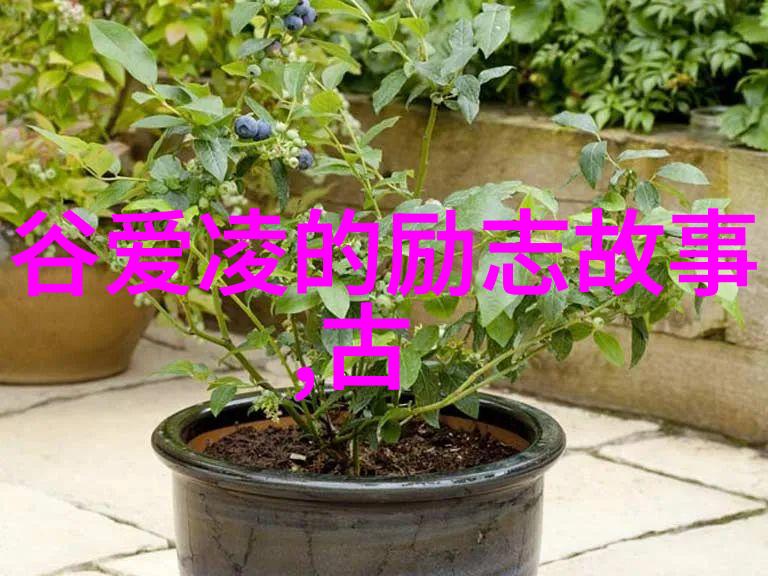婆媳的战国时代电视剧大结局如何让和谐相处成为不败之策婆媳关系和谐的优秀做法让爱意与智慧并行