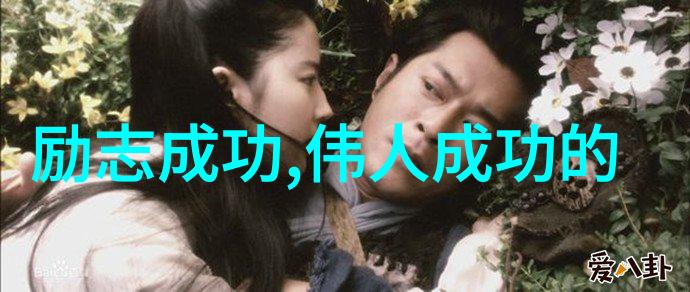 风华绝代中国最励志女人的传奇之旅