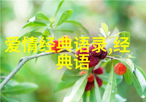 围城中的经典语录于建嵘的孤独之声