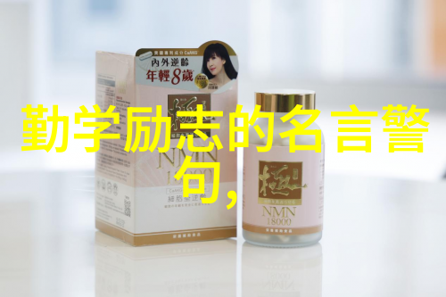 揭秘婆媳的战国时代电视剧全集完整版中的关系纠葛与人际智慧