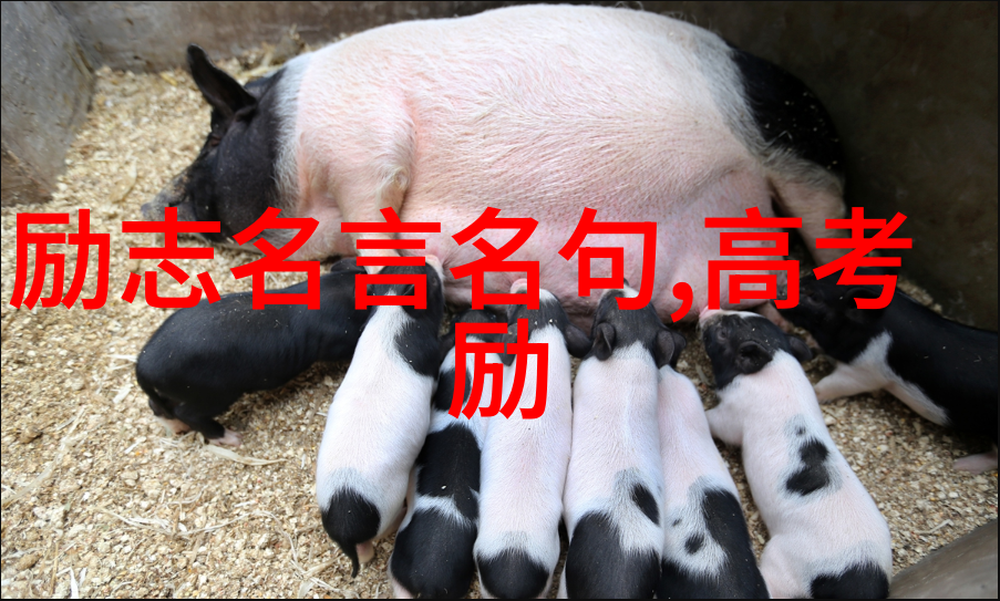 中国近年来的伟大事迹-奋进新时代中国的科技创新与经济腾飞