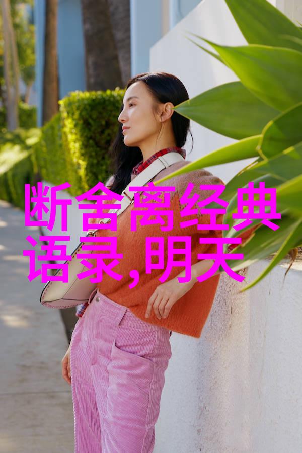 星光指引梦想之路偶像激励下的成功奇迹