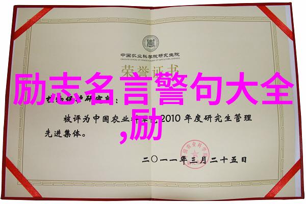 坚持与毅力打造不倒的梦想之塔