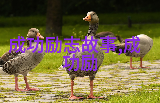 催泪励志视频-逆袭的光芒李明的不屈奋斗
