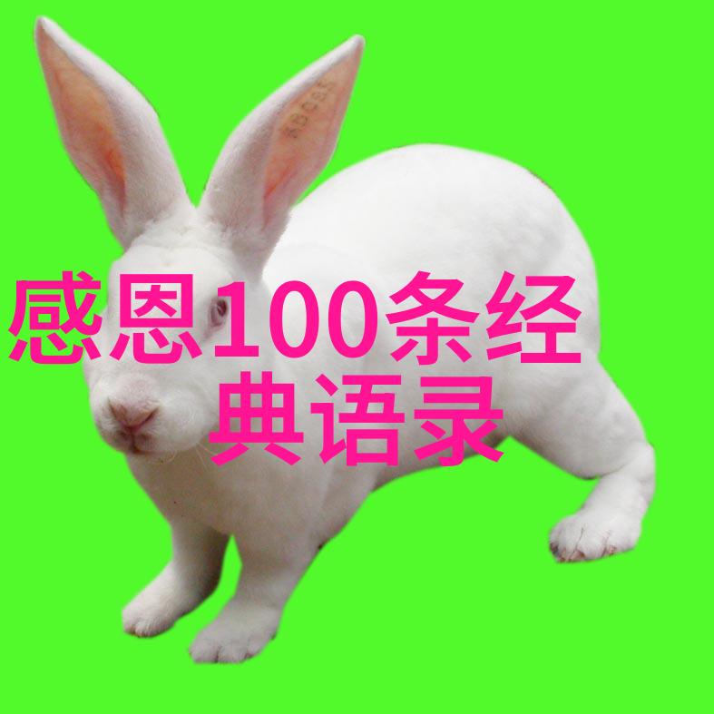 中国现代真实正能量人物故事李开复的逆袭之旅