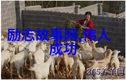 浪漫到极致的表白套路物品背后的情感诉求