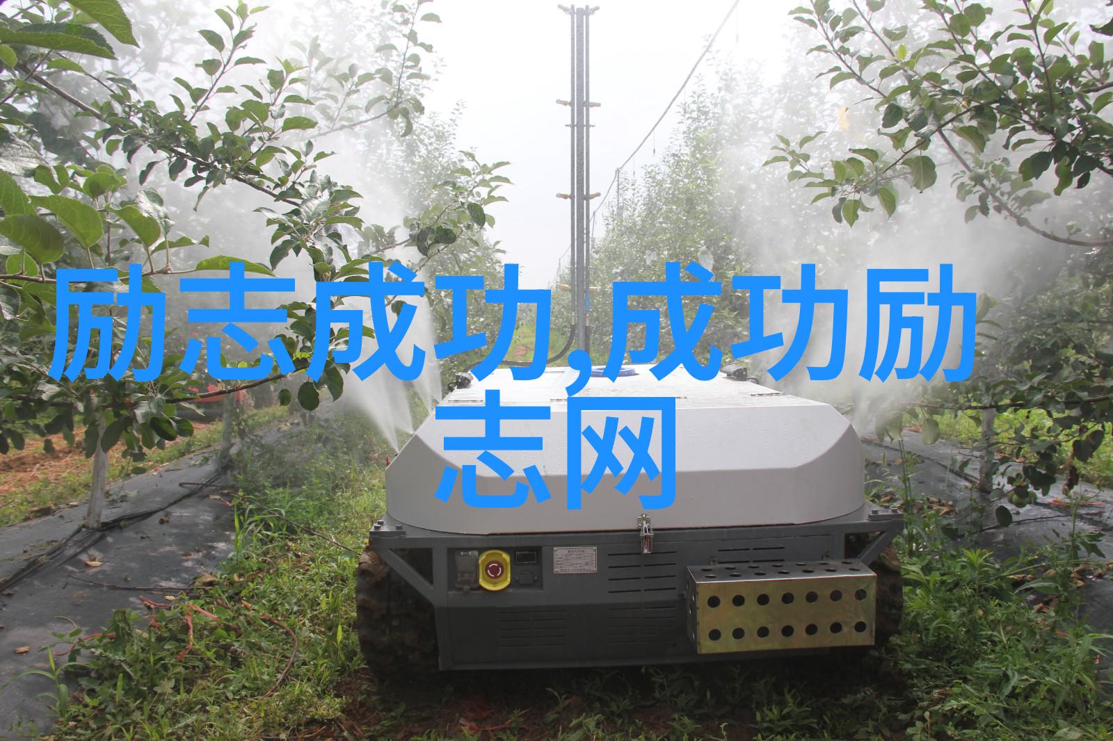 人性光芒励志启航优酷CEO古永锵聚焦人气生财新篇章