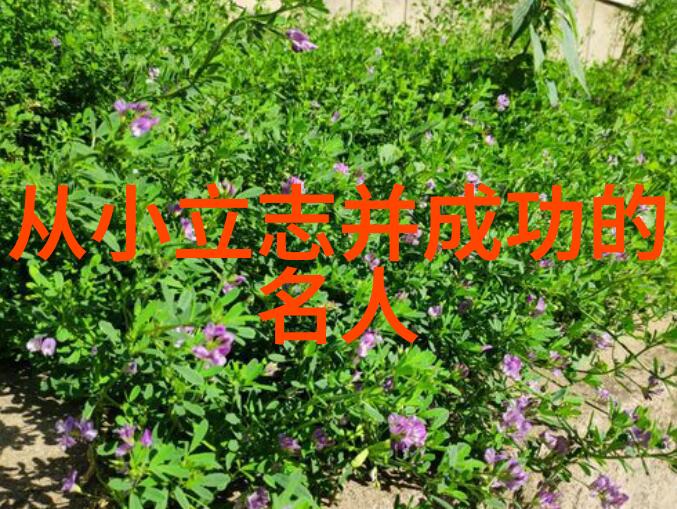 人物素材百科探索30个不同面孔的故事背后