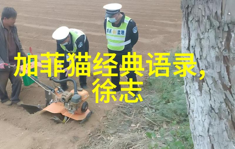 莫言先生的文学智慧探索其经典语录背后的深意
