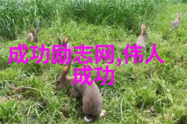 感恩身边人-经典语录感悟人生