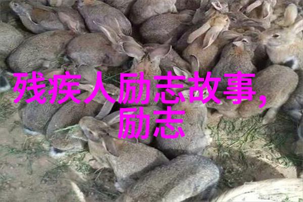 坚持不懈的力量中学生励志故事背后的秘诀是什么