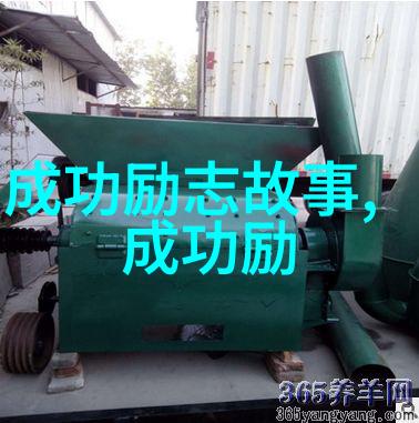 偶像激励粉丝的例子-星光下的力量歌手李明如何用音乐温暖心灵