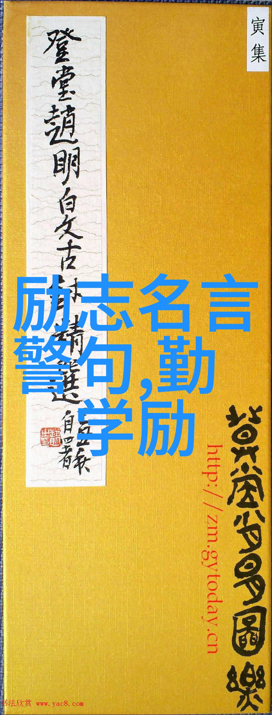银幕上的梦想一段震撼世界的旅程