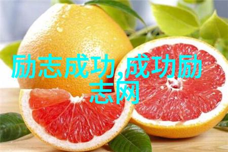 中国励志女性人物代表-李GUANVI的逆袭之旅