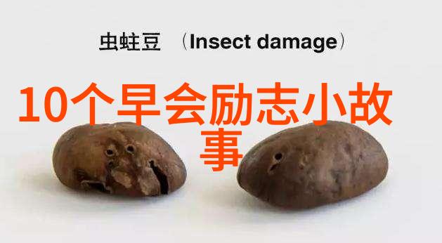她在公司内部提出了哪些建议并且取得了怎样的成效