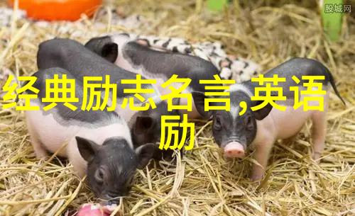 他在喜欢与爱的区别上反复做到这点才是真爱