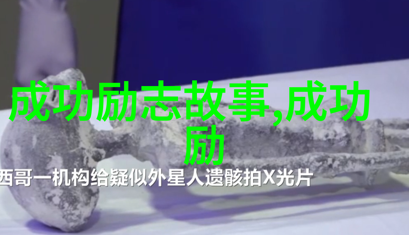 逆袭之星李冰冰的传奇人生