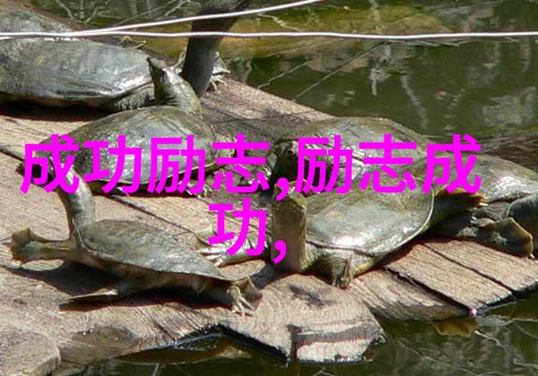 成功励志 - 李小龙坚韧不拔的功夫精神