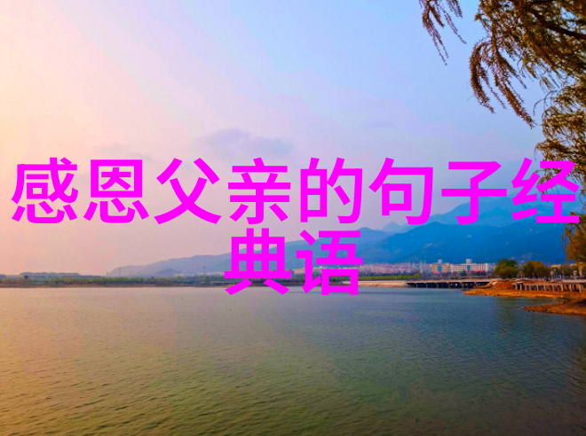 海上钢琴师中的三毛音乐人生与爱情的感悟与启示