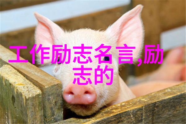 情话闪耀爱的微光