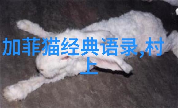 追梦者一代科学巨星的信念之旅