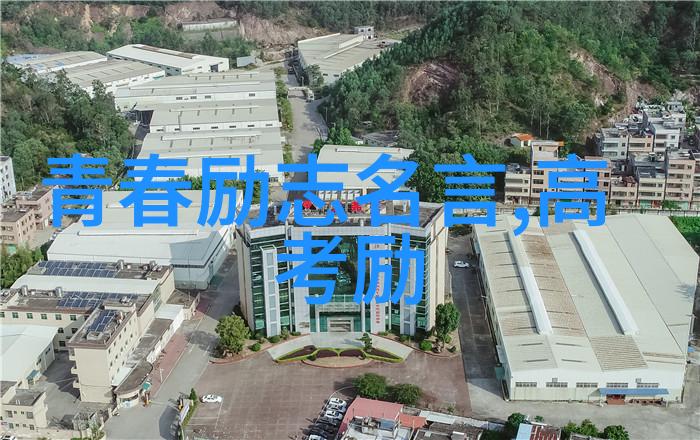 中国伟人的事迹中华民族的光辉历程