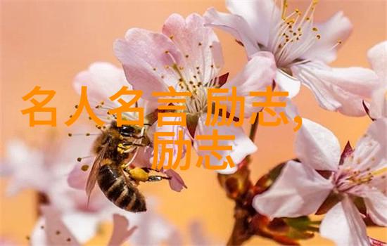 韩庚成名道路上的艰辛与中国正能量人物事迹简短