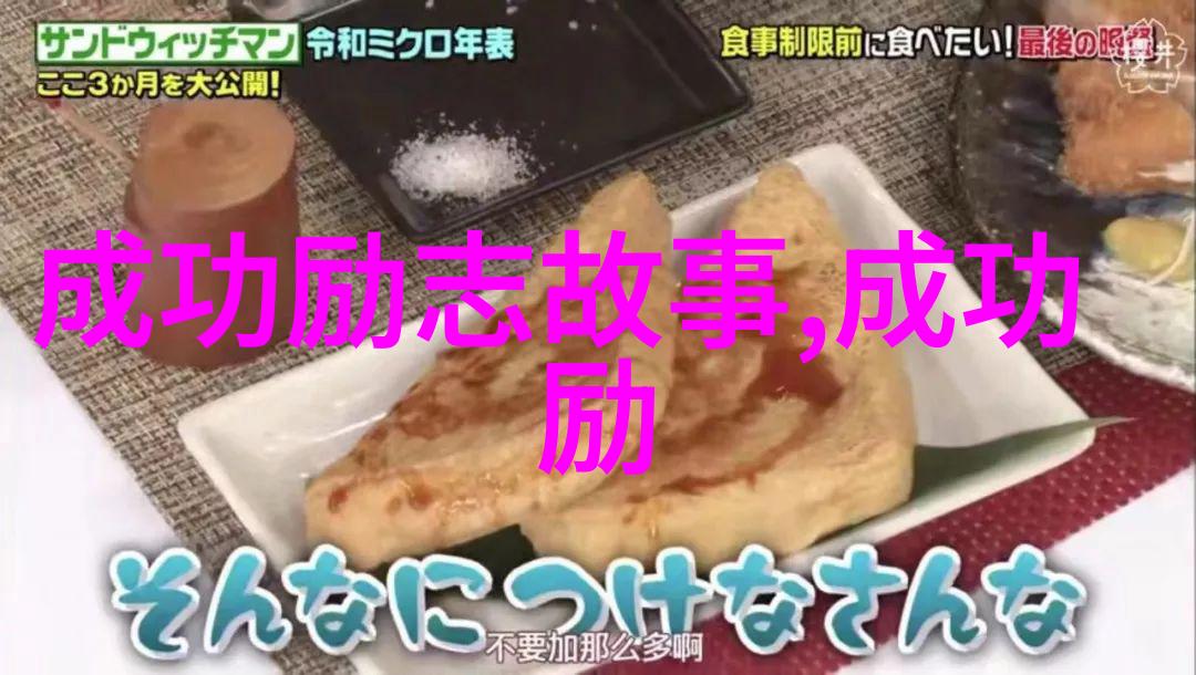 冬暖时 - 温暖岁月揭秘冬季保暖技巧