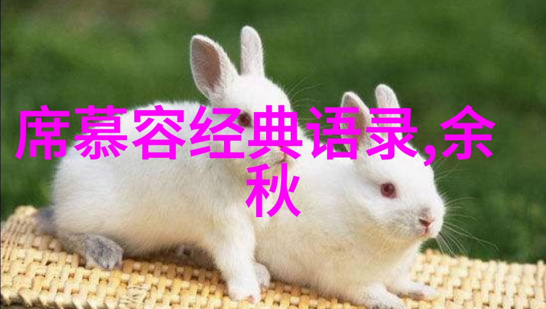 国精产品海角天涯 - 海外市场的新风景线国货如何征服世界每一个角落