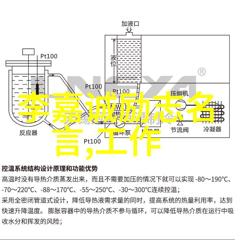 挑战自我创造奇迹女性如何用自己的故事激励他人前行