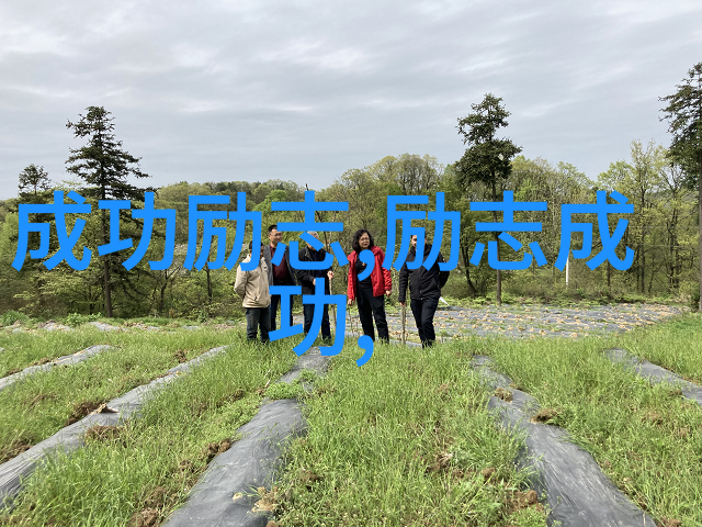 深夜的阴影中人妻少妇的秘密被揭开完整版出轨真相震惊全城