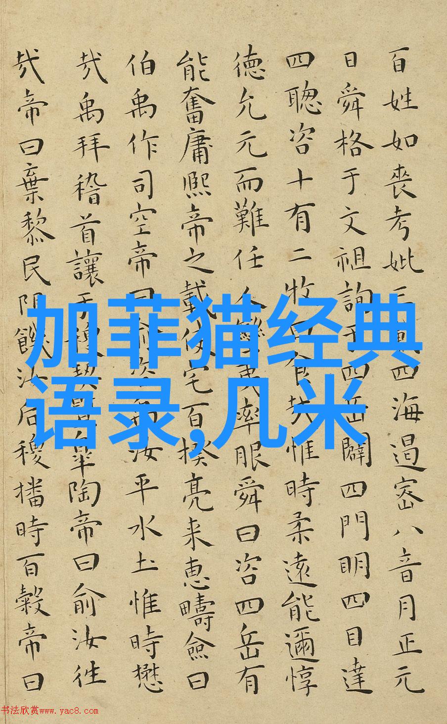 传递正能量的人物事迹我遇见的那位无私助人的老板娘