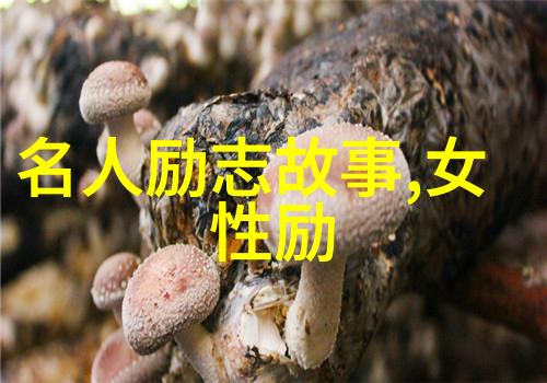 完美世界全集探秘穿越神话的传奇征程