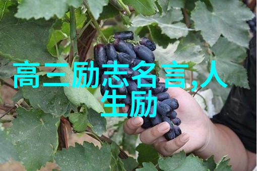 遥远彼岸的情书跨越时空的情侣传奇