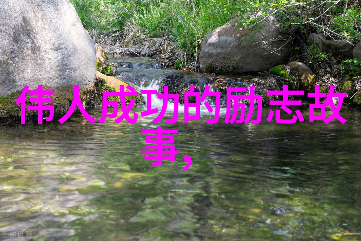 从街头小歌手到国民偶像的逆袭故事