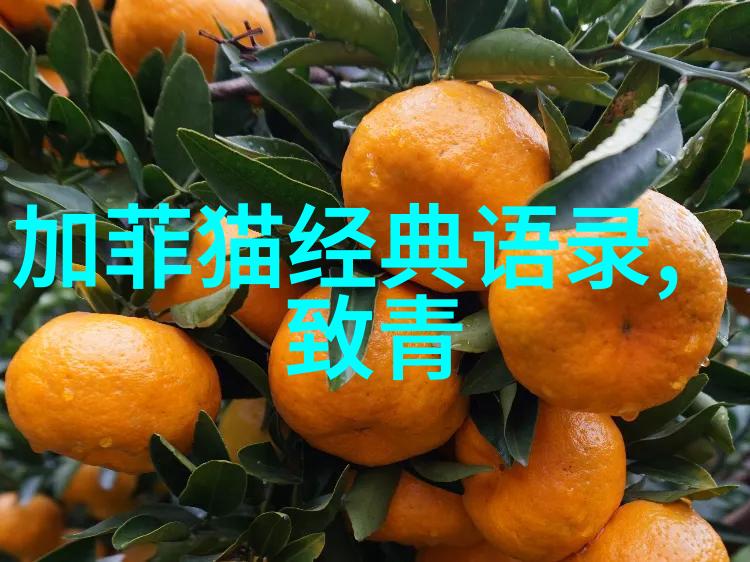 青春启航梦想的无限海岸