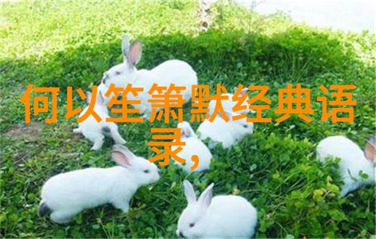 中国名人简短小故事-唐代诗人的孤独与辉煌李白的一生